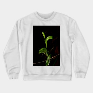 Not So Tall Greenhood Crewneck Sweatshirt